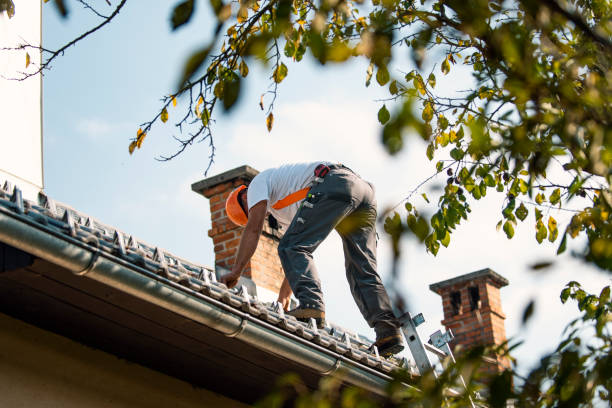 Best Roof Repair Specialists  in Mcmechen, WV