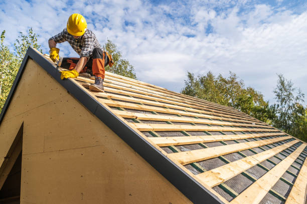 Best Roof Gutter Cleaning  in Mcmechen, WV