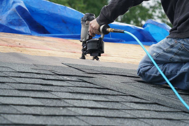 Best Storm Damage Roof Repair  in Mcmechen, WV